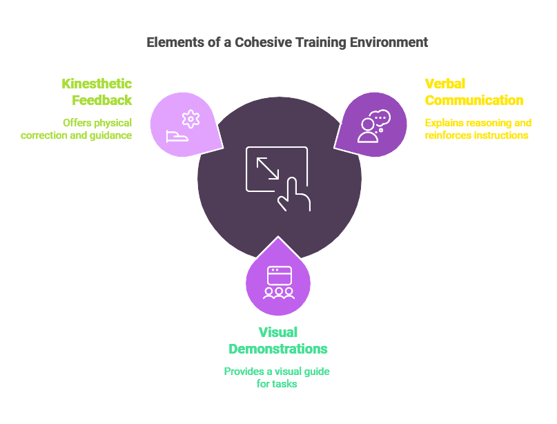 Visual Communication